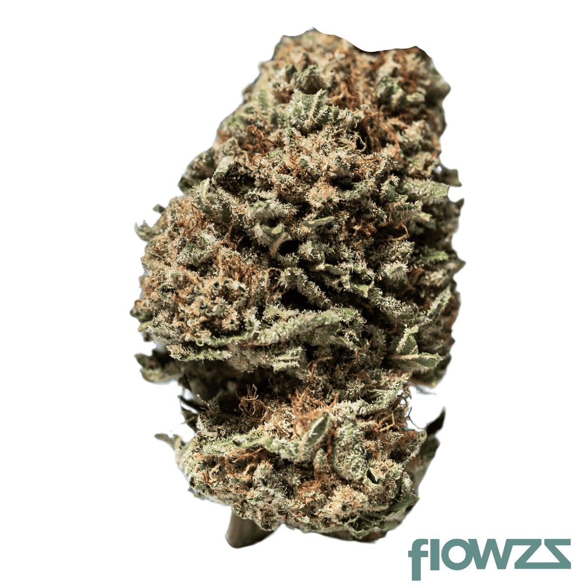 noc-lf-20-20-1-orangina-2-0