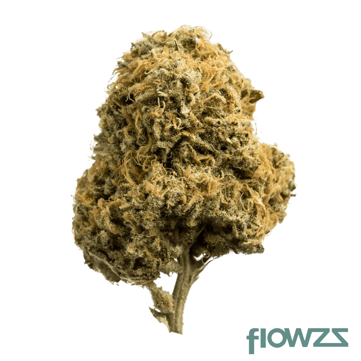 AVAAY 23/1 BKR Black Krush - flowzz Preisvergleich