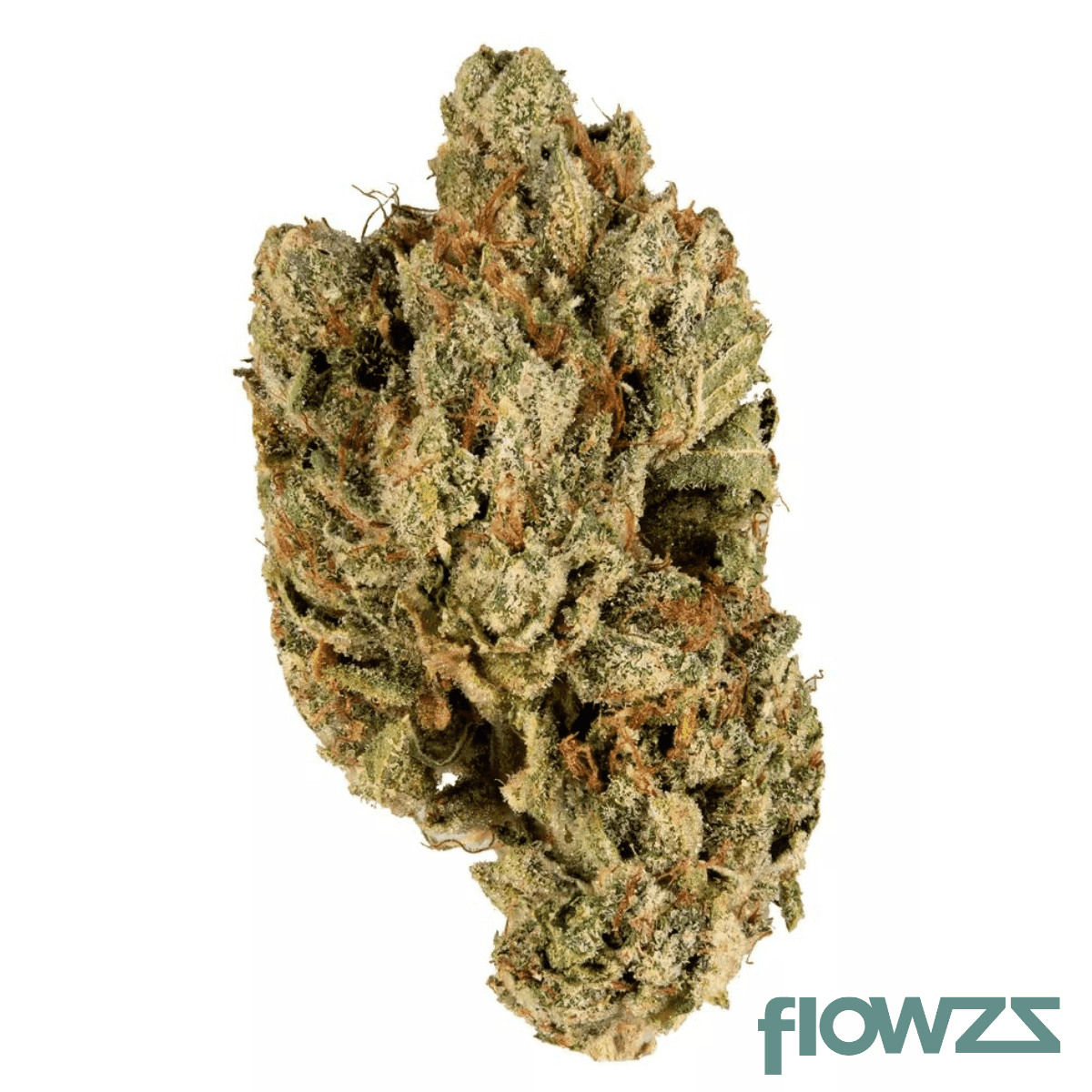 Remexian-30-1-heg-helios-gold