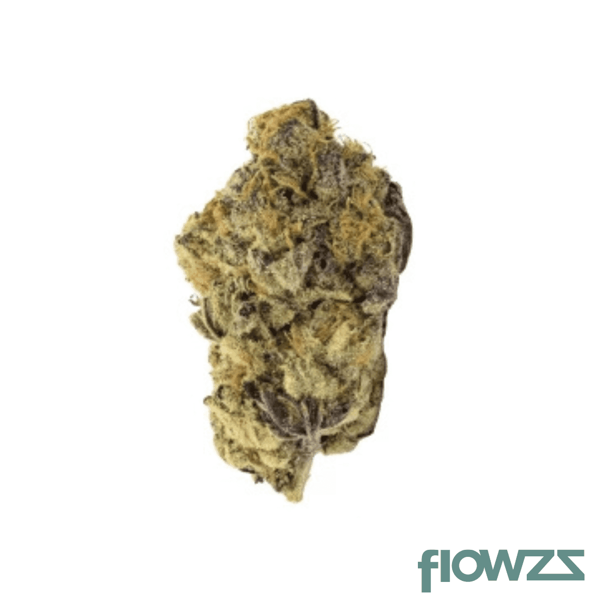 remexian-24-1-prt-mab-mad-berry