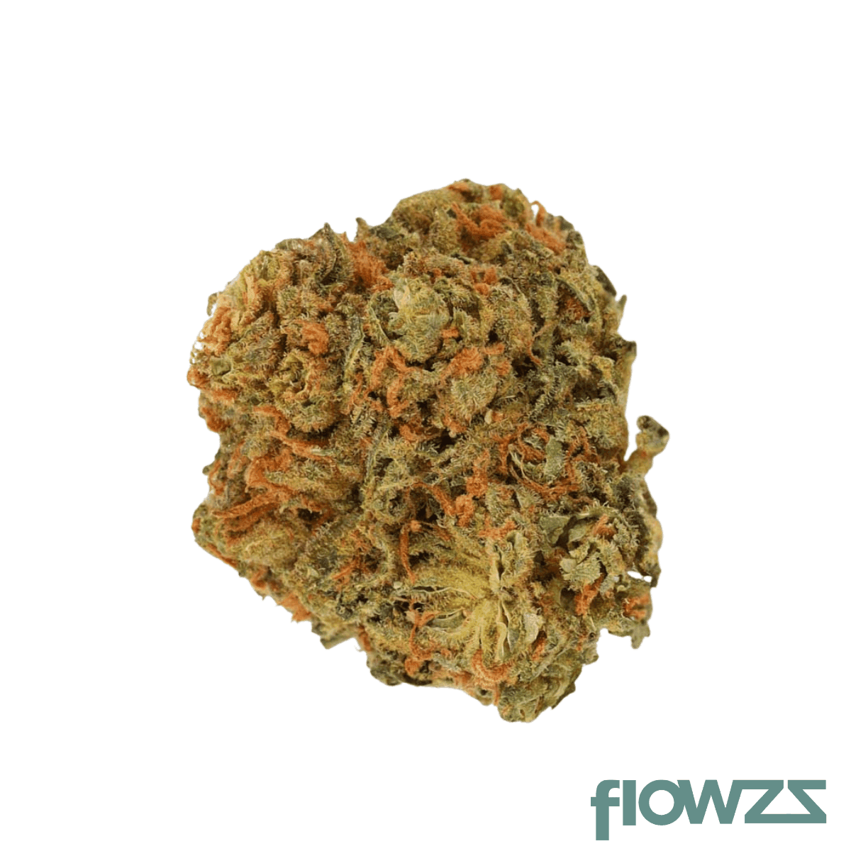 luana-24-1-pine-solpina-magic