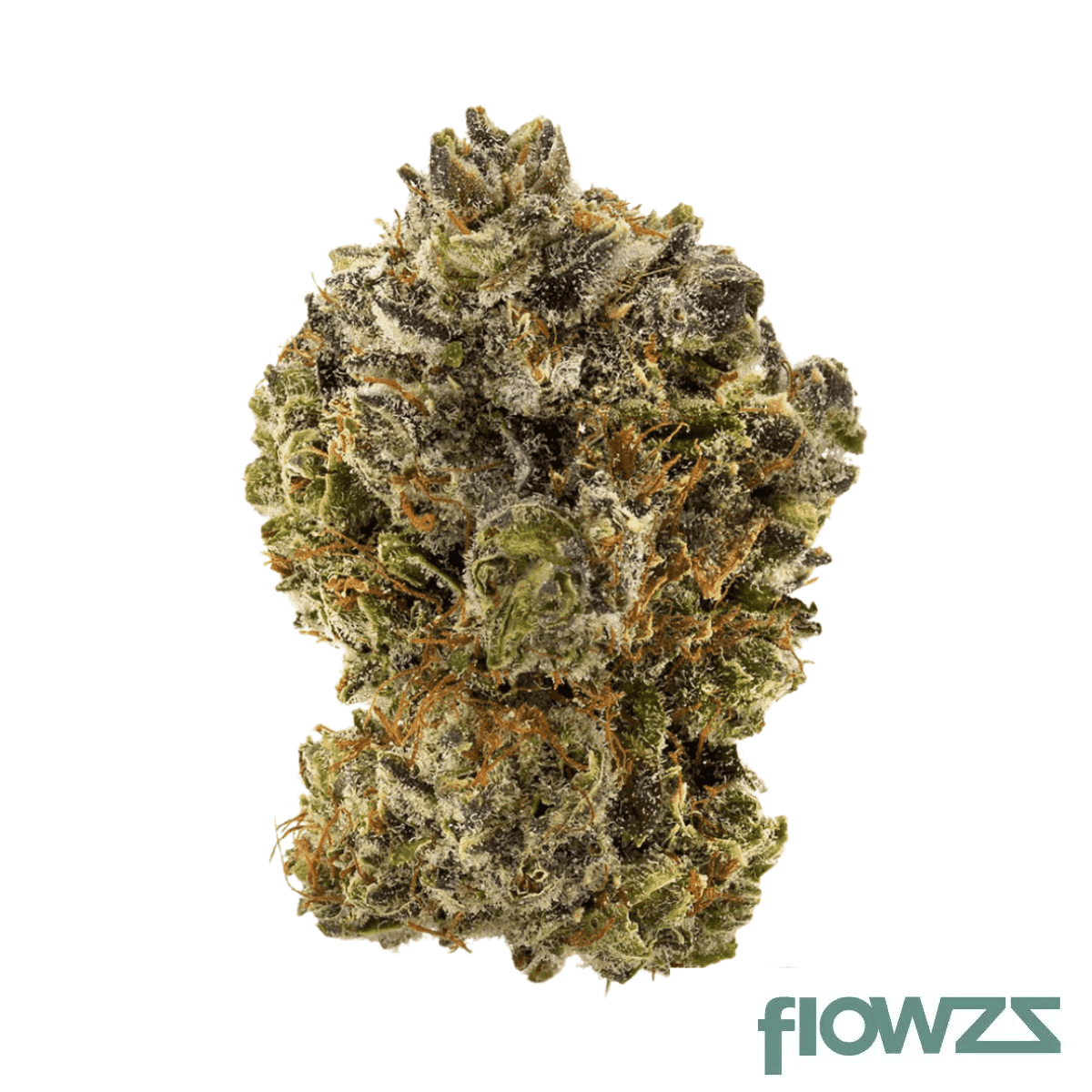 peace-naturals-31-1-cb-cocoa-bomba