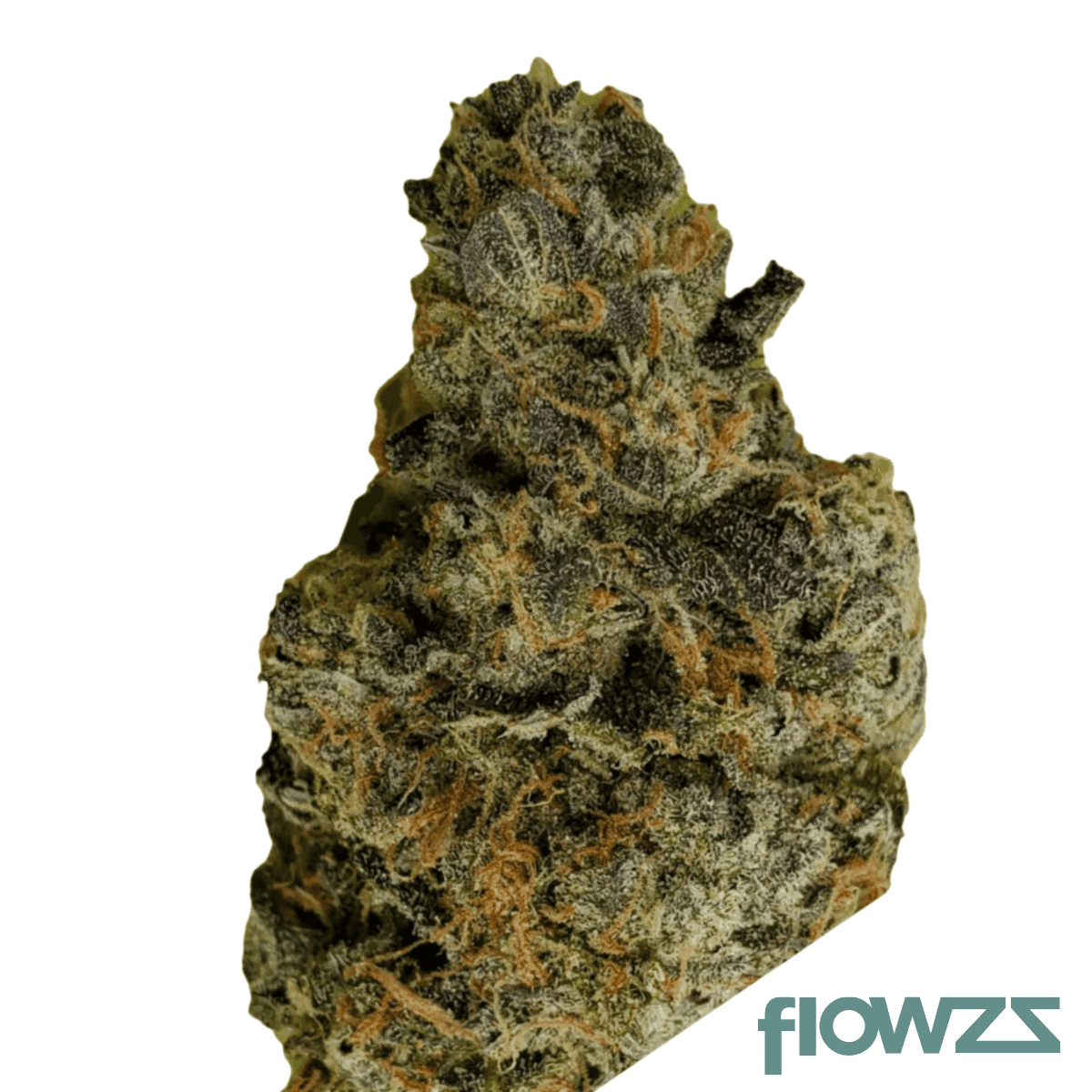 mother-28-b8-can-beta-808