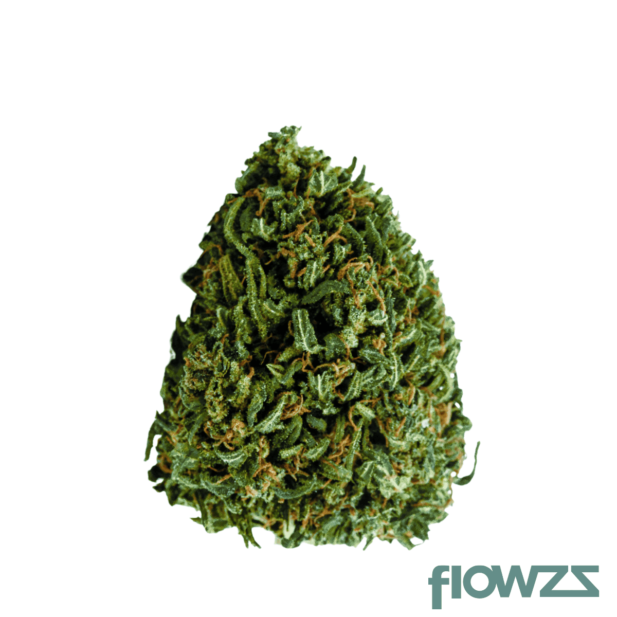 mediprocan-lunaris-19-1-forbidden-lolly