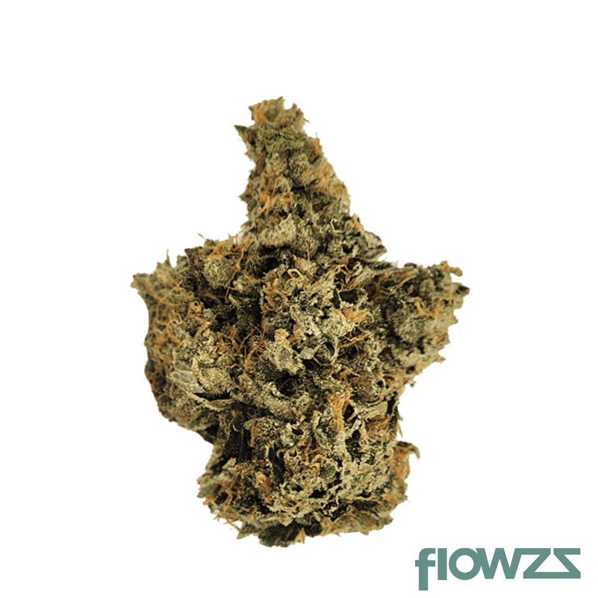 wellford-peak-ca-t95-33-1-tres-dawg-x-i-95