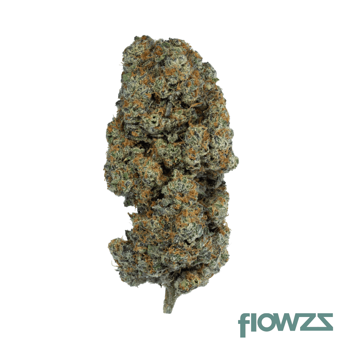 eufloria-27-1-sru-slurricane-pancakes-runtz