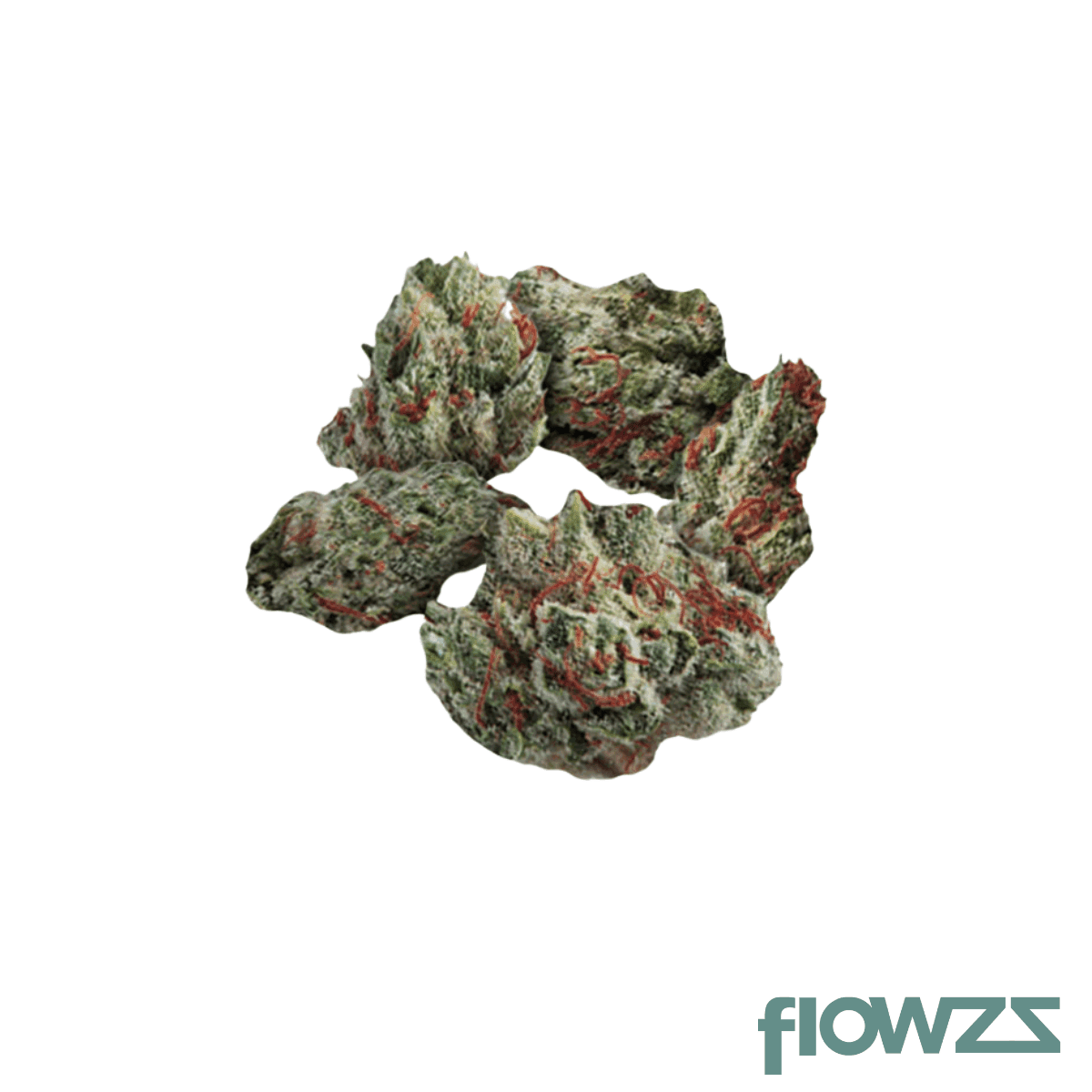 mgf-pop-up-no-4-26-1-grape-mintz