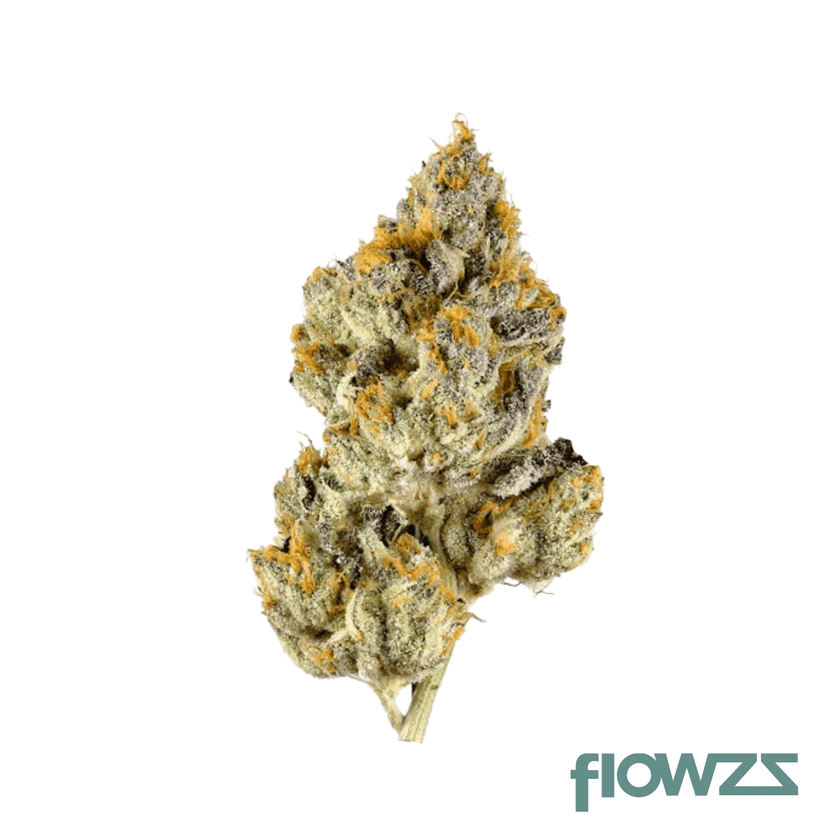 cannamedical-sativa-forte-at-animal-tree