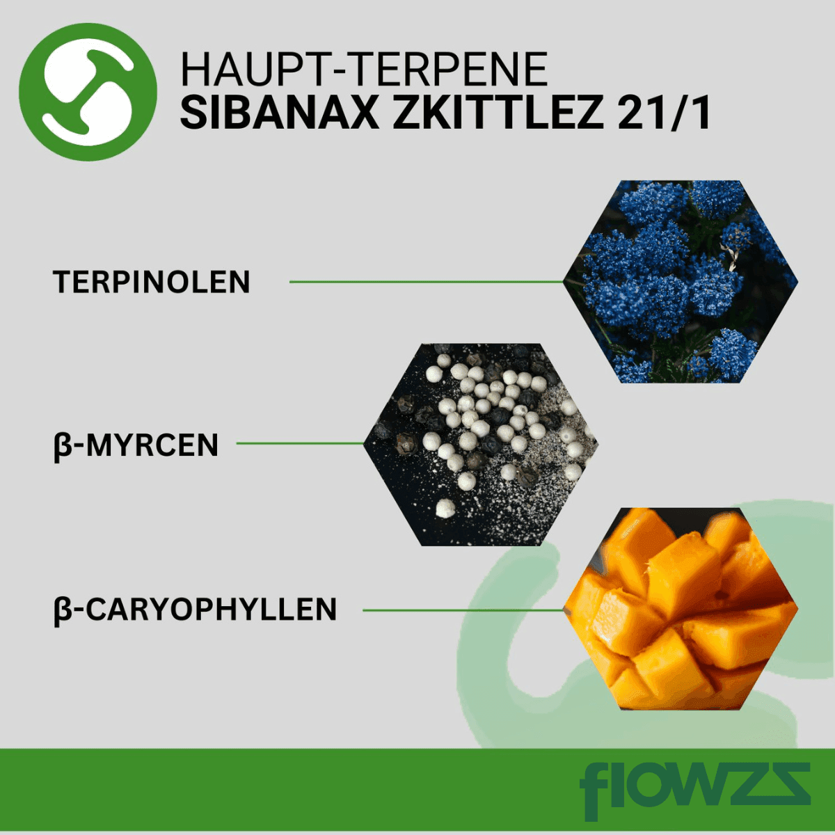 sibanax-gmo-zkittlez-21-1_gal_terp