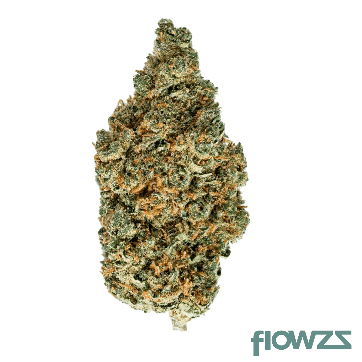 enua-22-1-eg-ca-electric-grapefruit