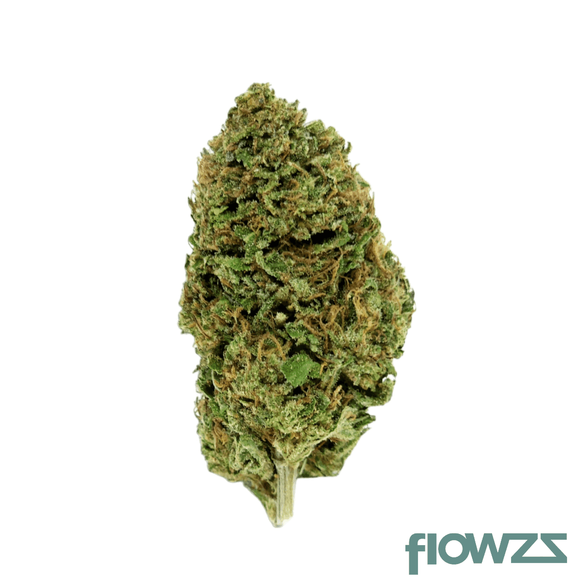 imc-thc25-e6-royal-og