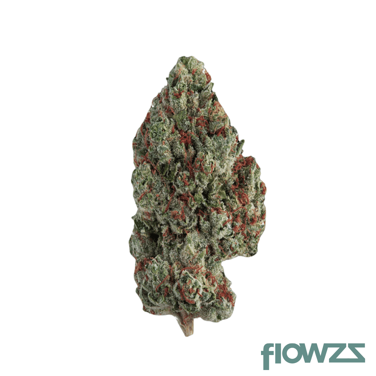 mgf-run-run-run-26-1-grape-mintz