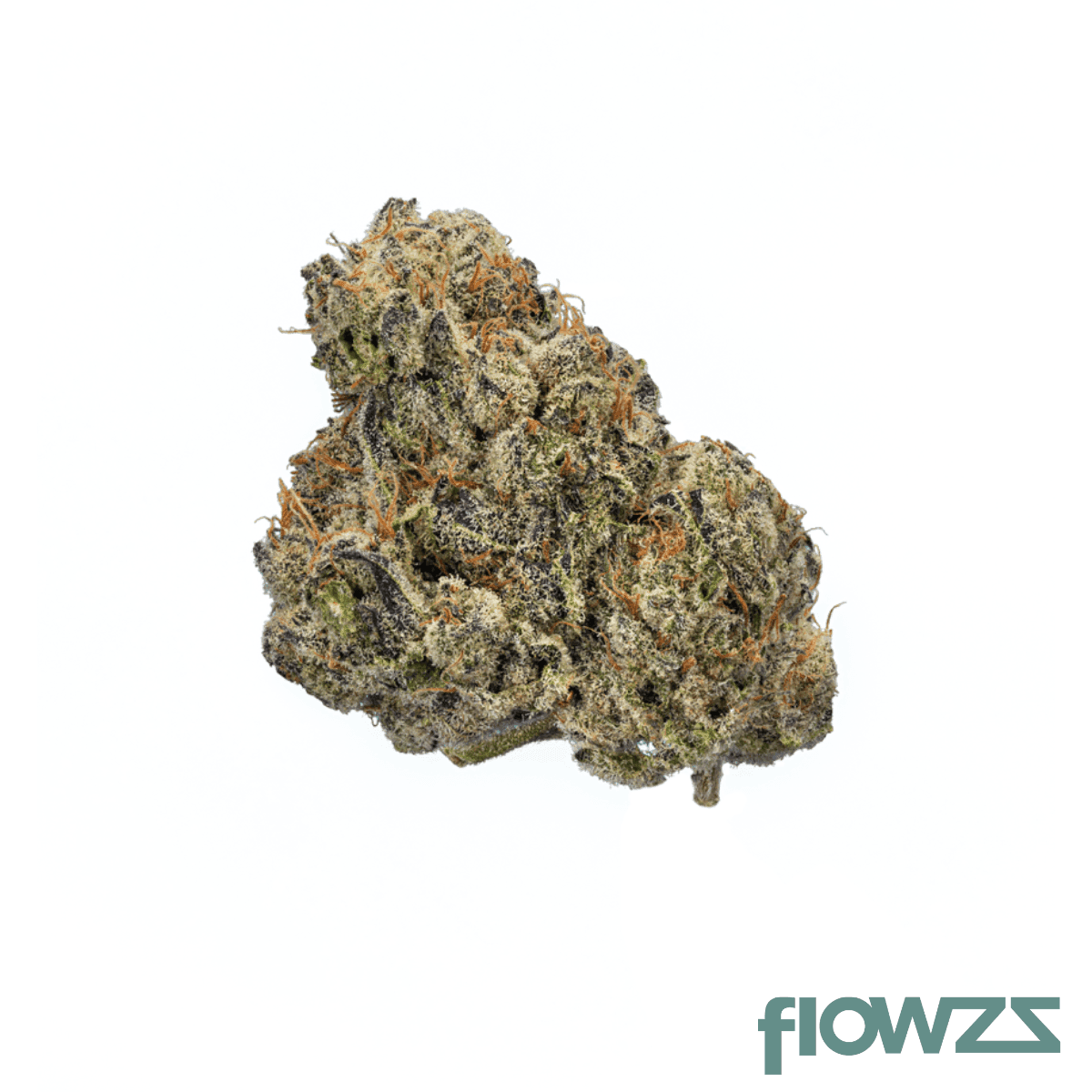 enua-20-1-cdg-ca-crispy-doughnut