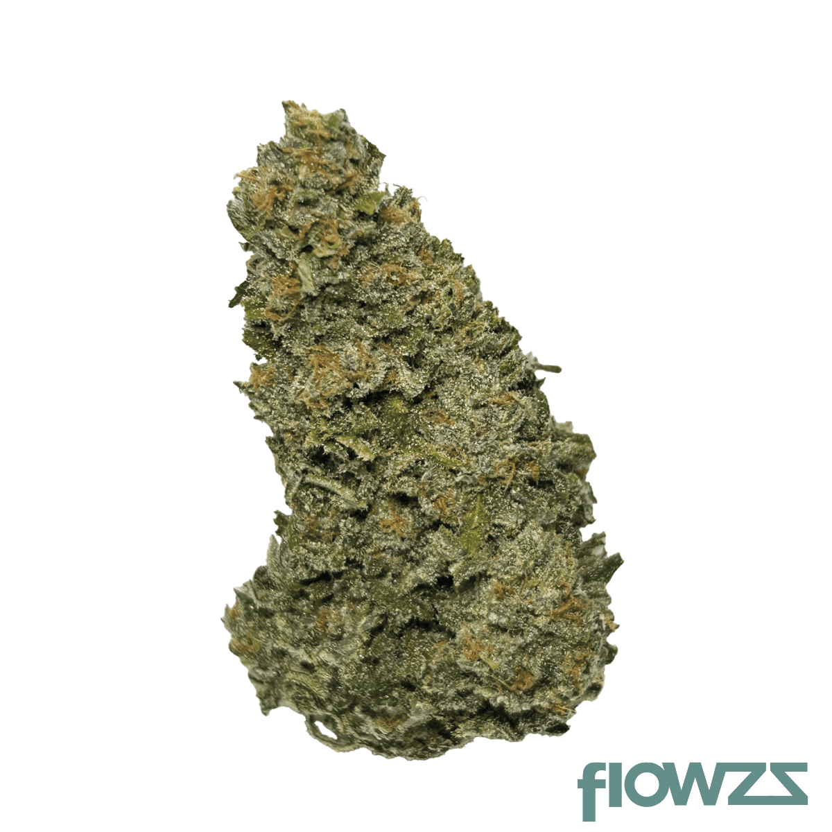 wellford-aquaponic-23-1-gth-ghost-train-haze