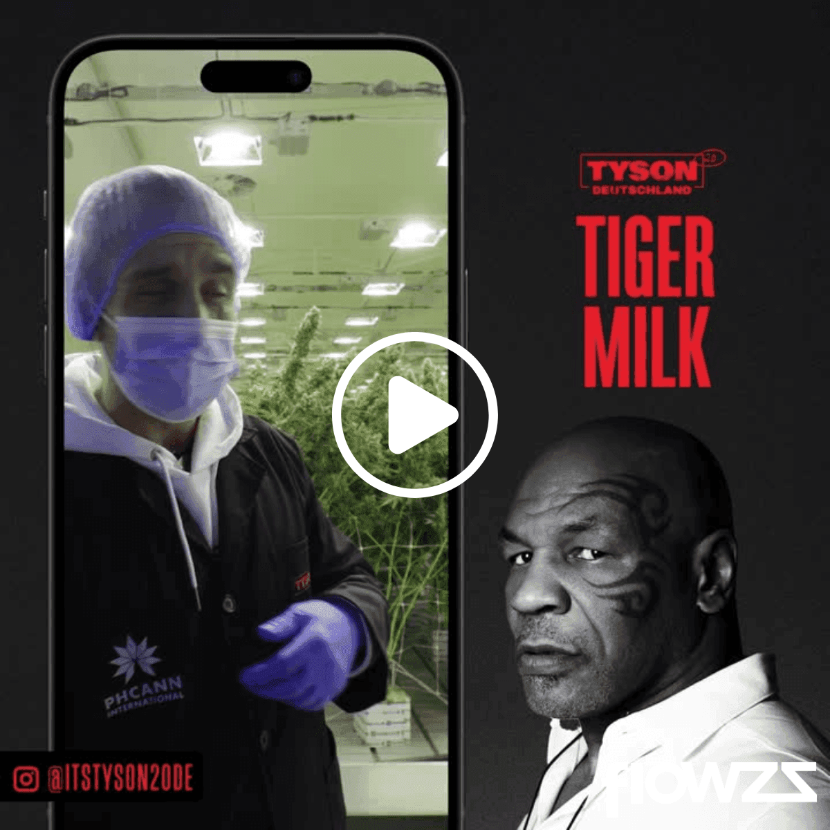 Tiger Milk