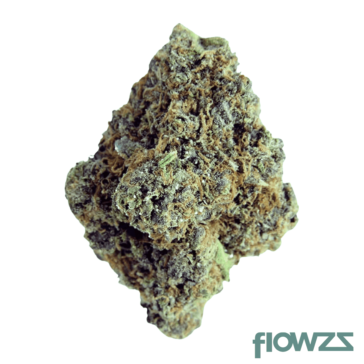 adrex-mother-22-ais-can-22-1-apes-in-space