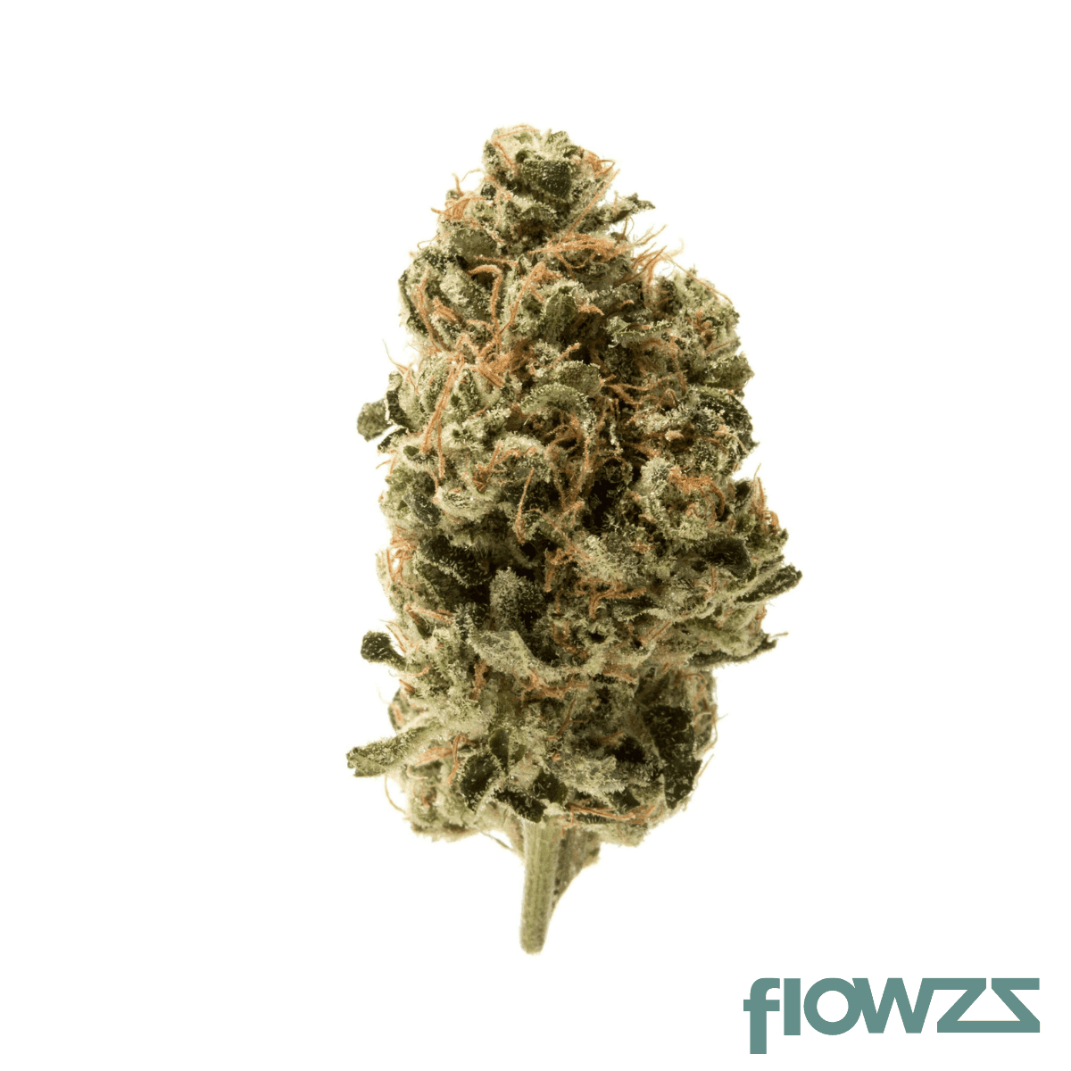 remexian-33-1-pgf-tim-tingle-mint