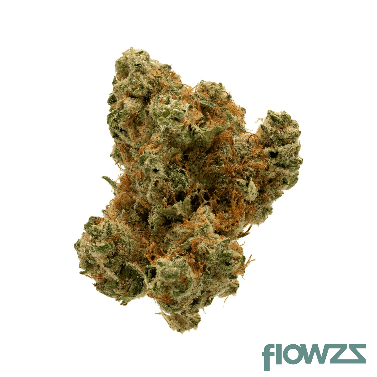 nimbus-easy-22-1-gul-of-mexiko