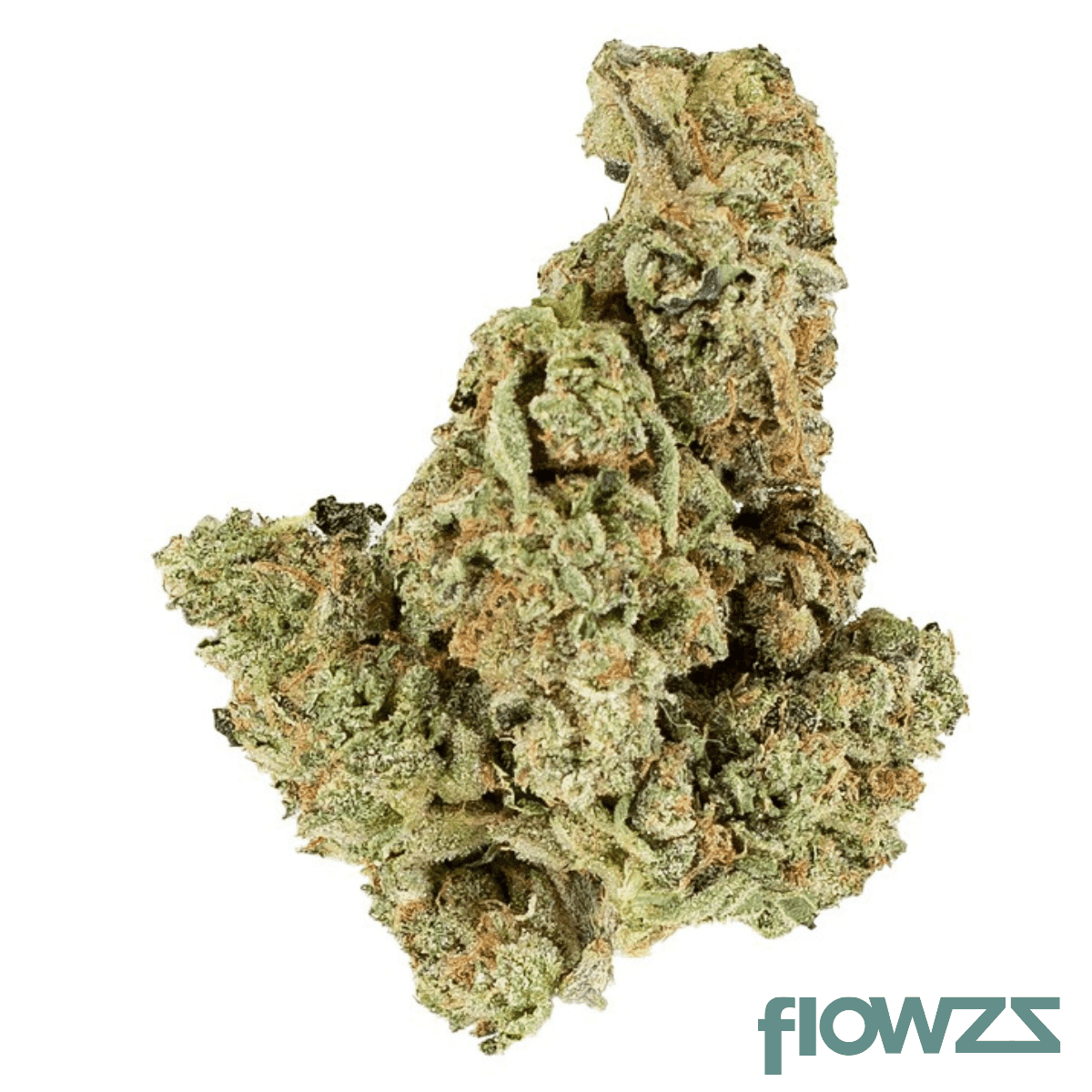 ostara-dirty-taxi-31-1