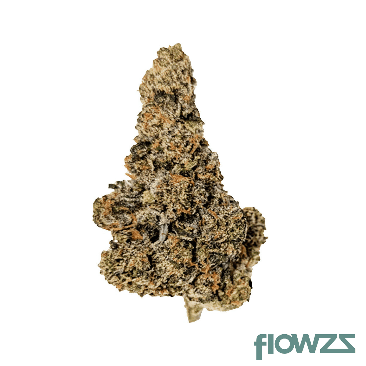 enua-25-1-gpu-gastro-pop-ultra