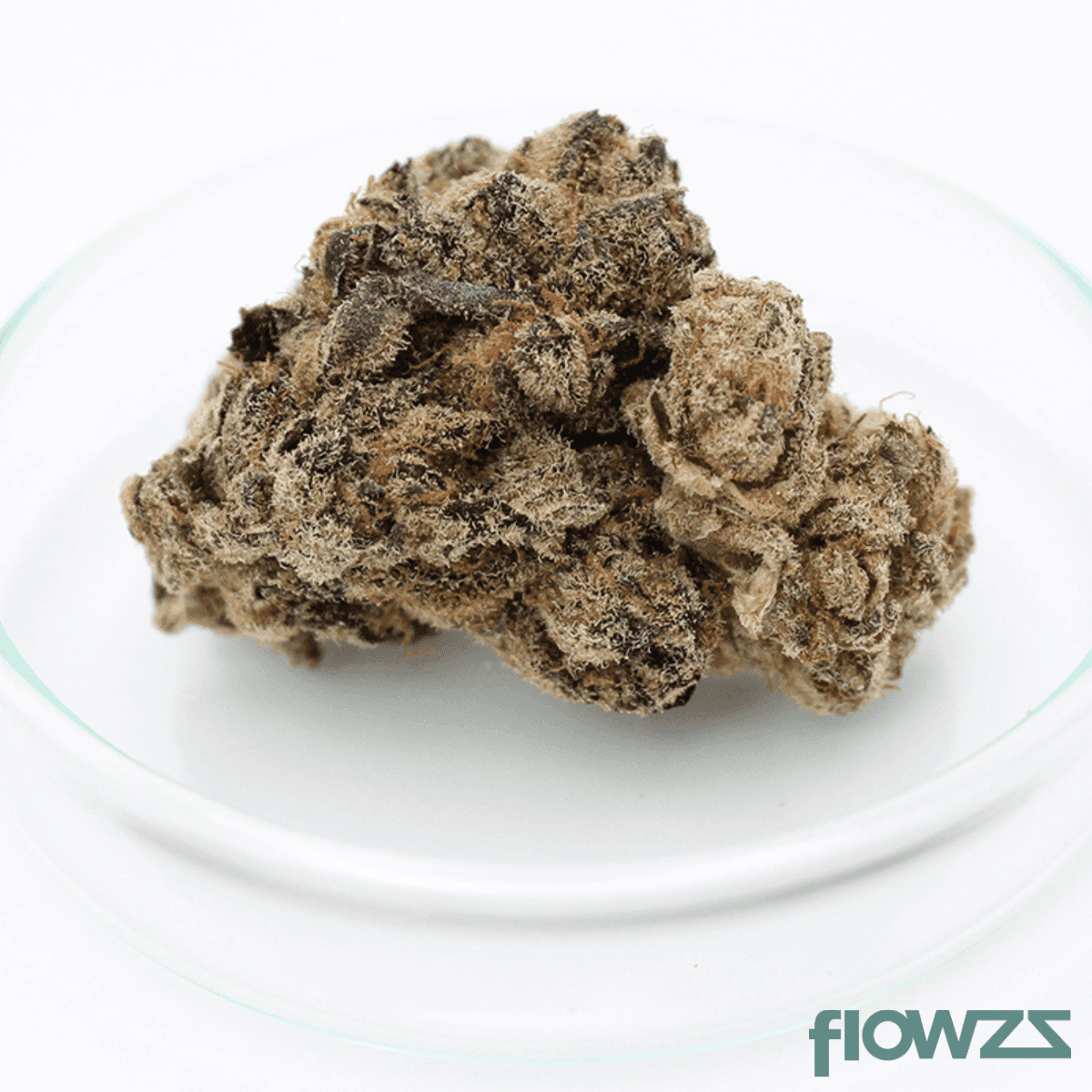 grünhorn-sck-27-1-scottis-cake