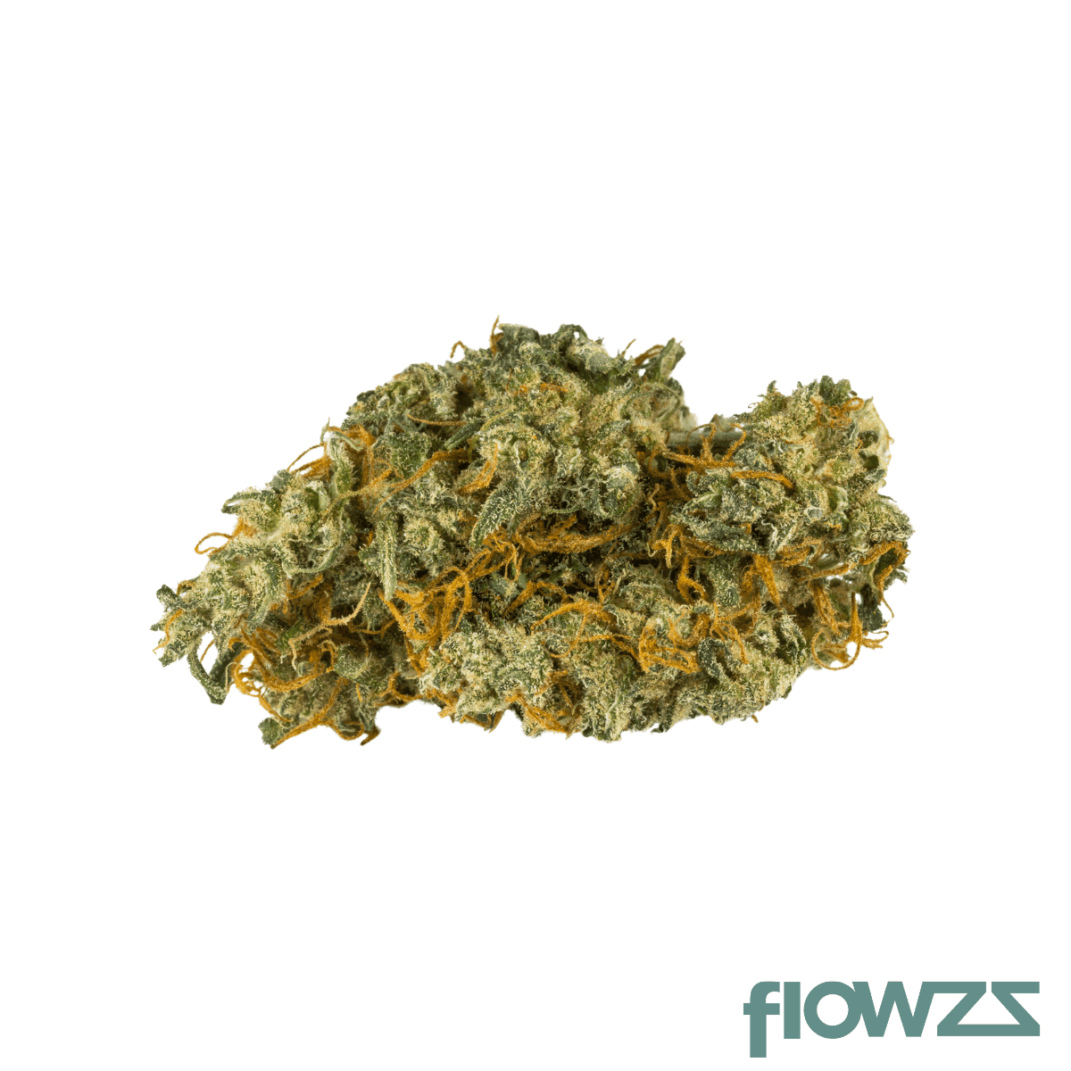 pedanios-10-10-eqi-ca-equiposa