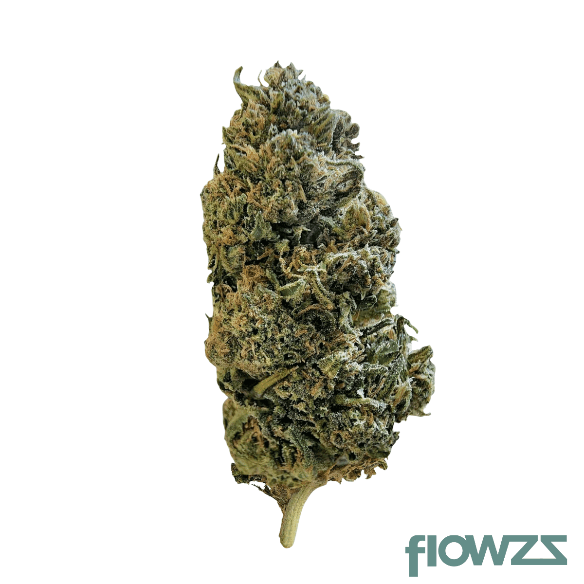 canymed-bc-28-1-diesel-crisp