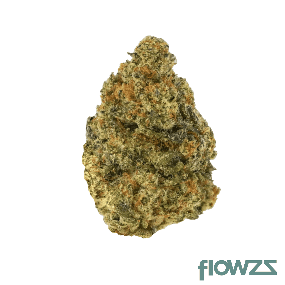 big-dreams-20-1-hcc-dbu-donkey-butter