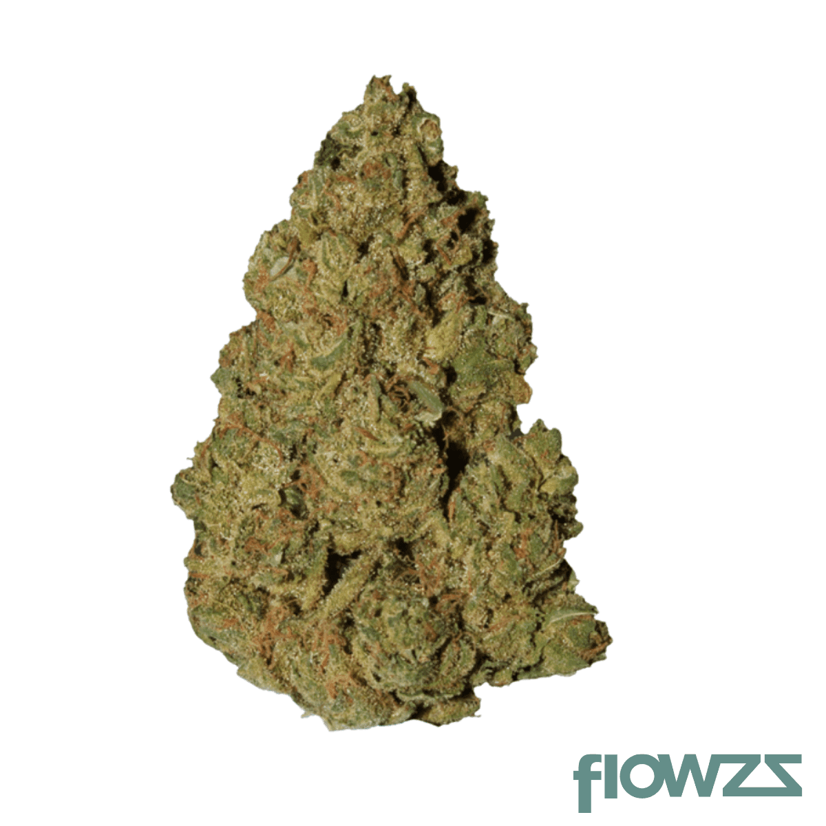 nedcann-ah-22-01-amnesia-d21