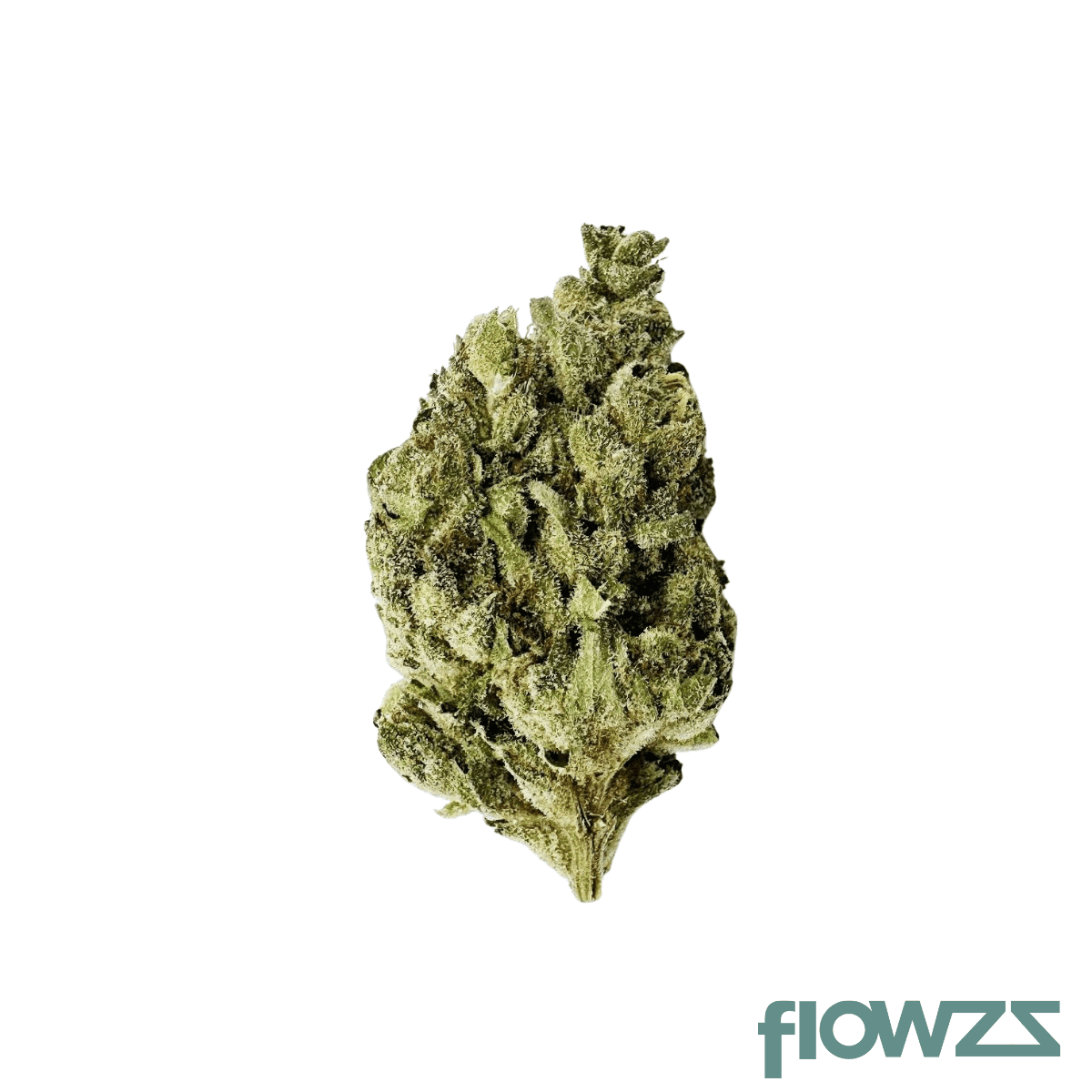 mgf-cann-bkr-30-delicata-cookies