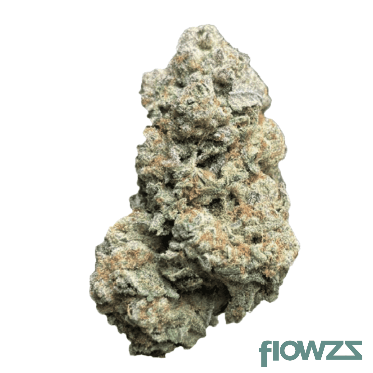 CM-24-1-gelati-punch