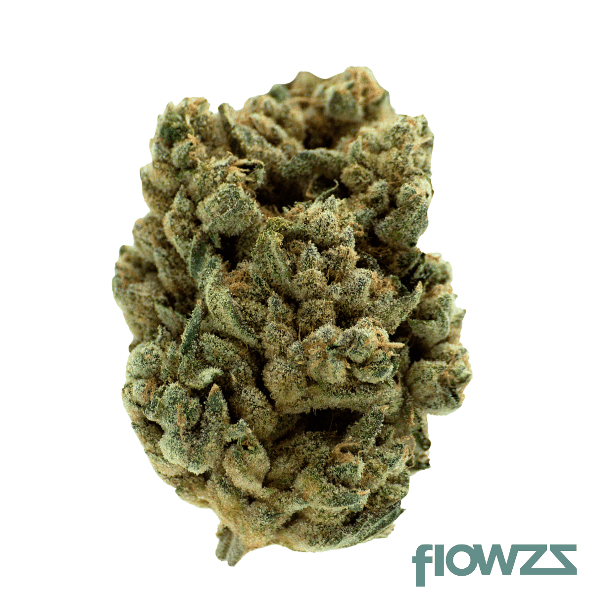 remexian-30-1-juc-jungle-cake