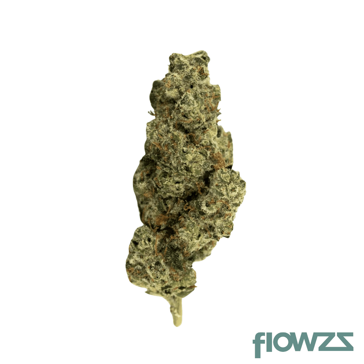 mediprocan-27-1-mustique-think-fast