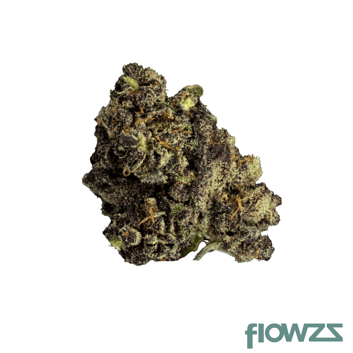 remexian-27-1-qui-fac