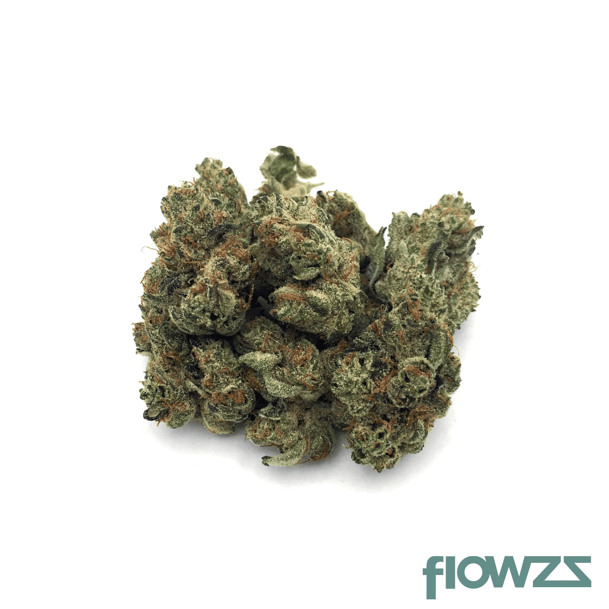 mgf-26-1-dg-day-glow