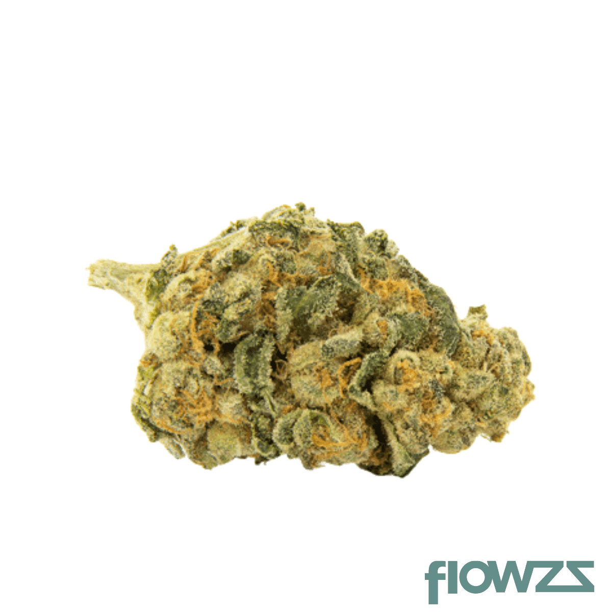 nice-20-1-lmj-lemon-jane