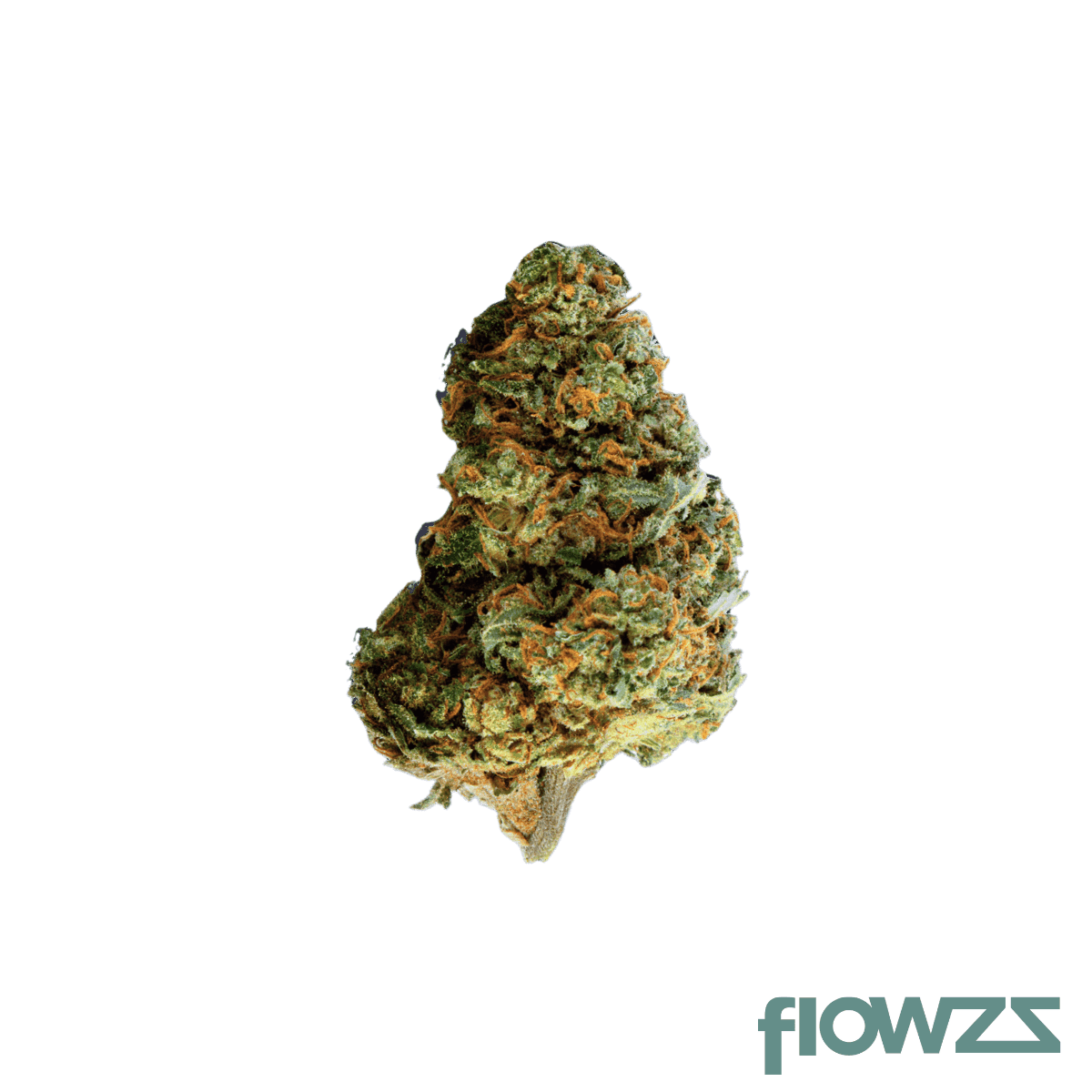 mediprocan-23-1-mykonoz-sour-mango