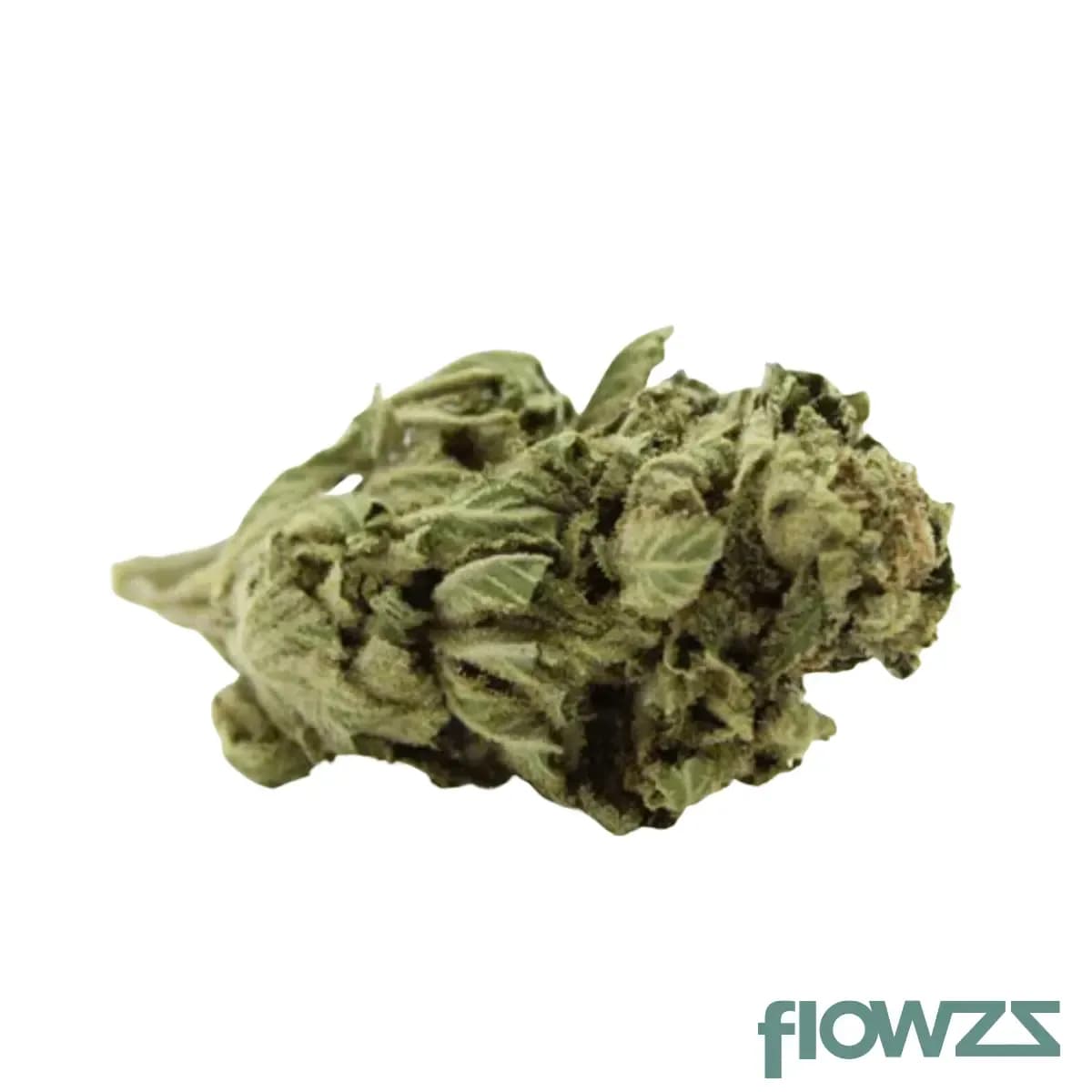 tweed-27-1-jack-herer