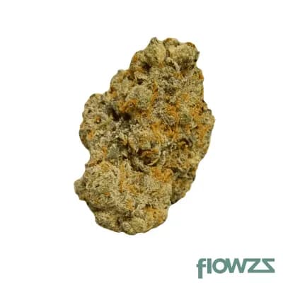 huala-25-1-uk-cin-cinderella-kush