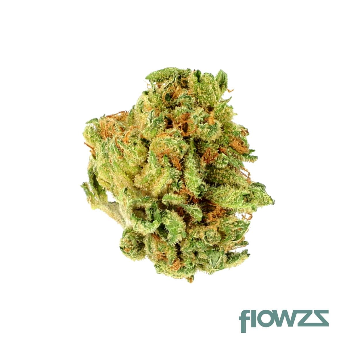 Cannamedical Hybrid classic Lost Cause