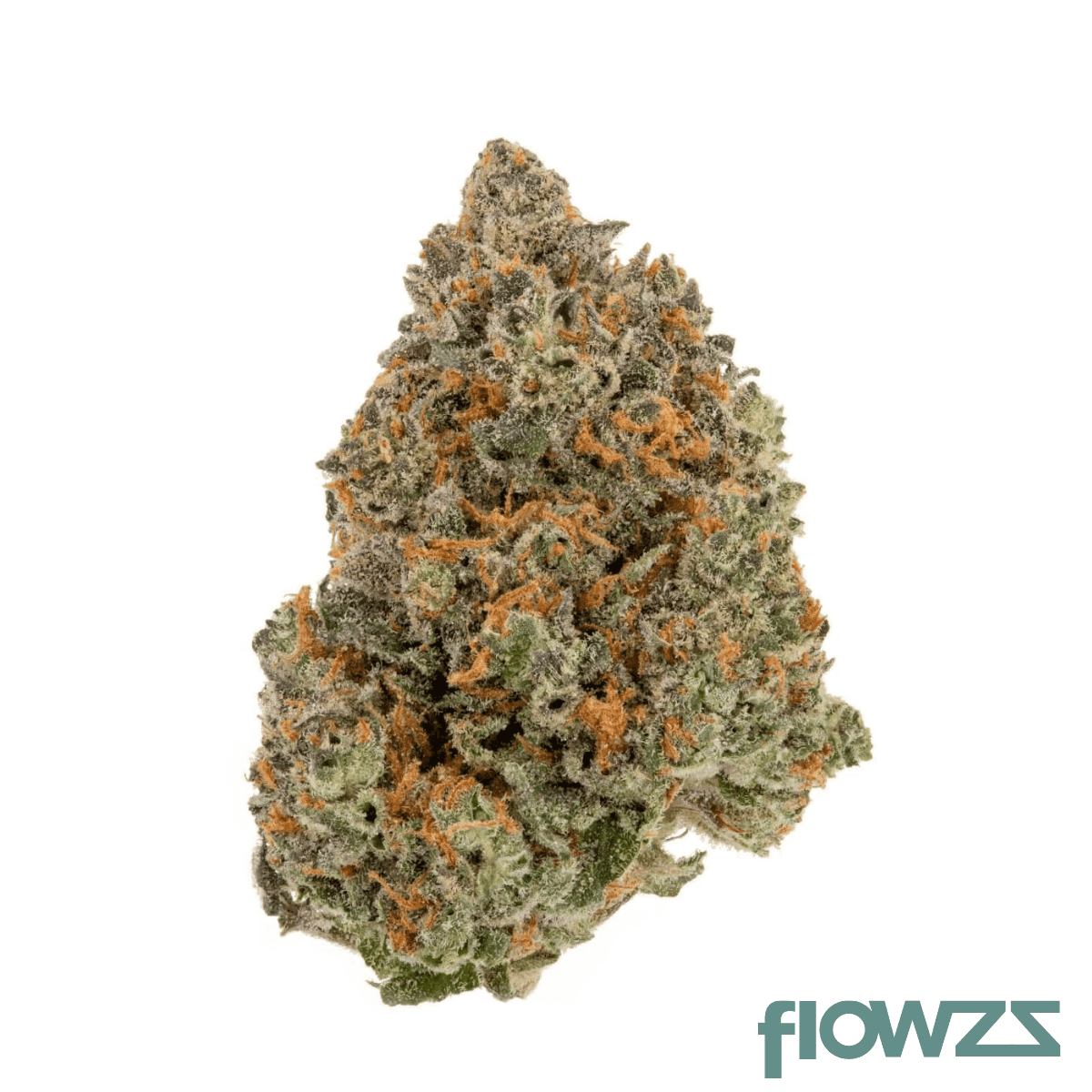 tannenbusch-31-1-tf-tubitti-frubitti