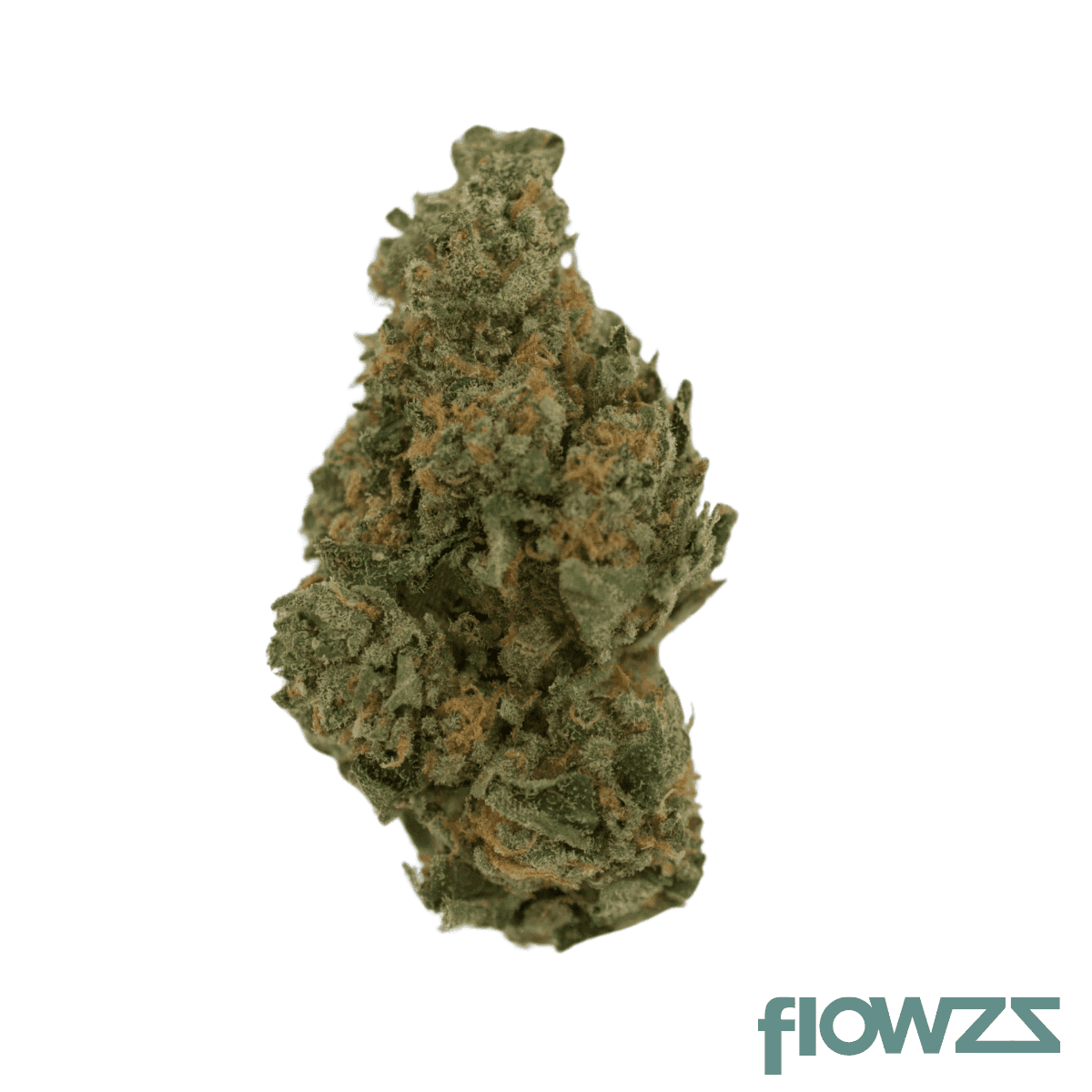 costa-canna-dynamics-crescendo-25-1-pucker-up