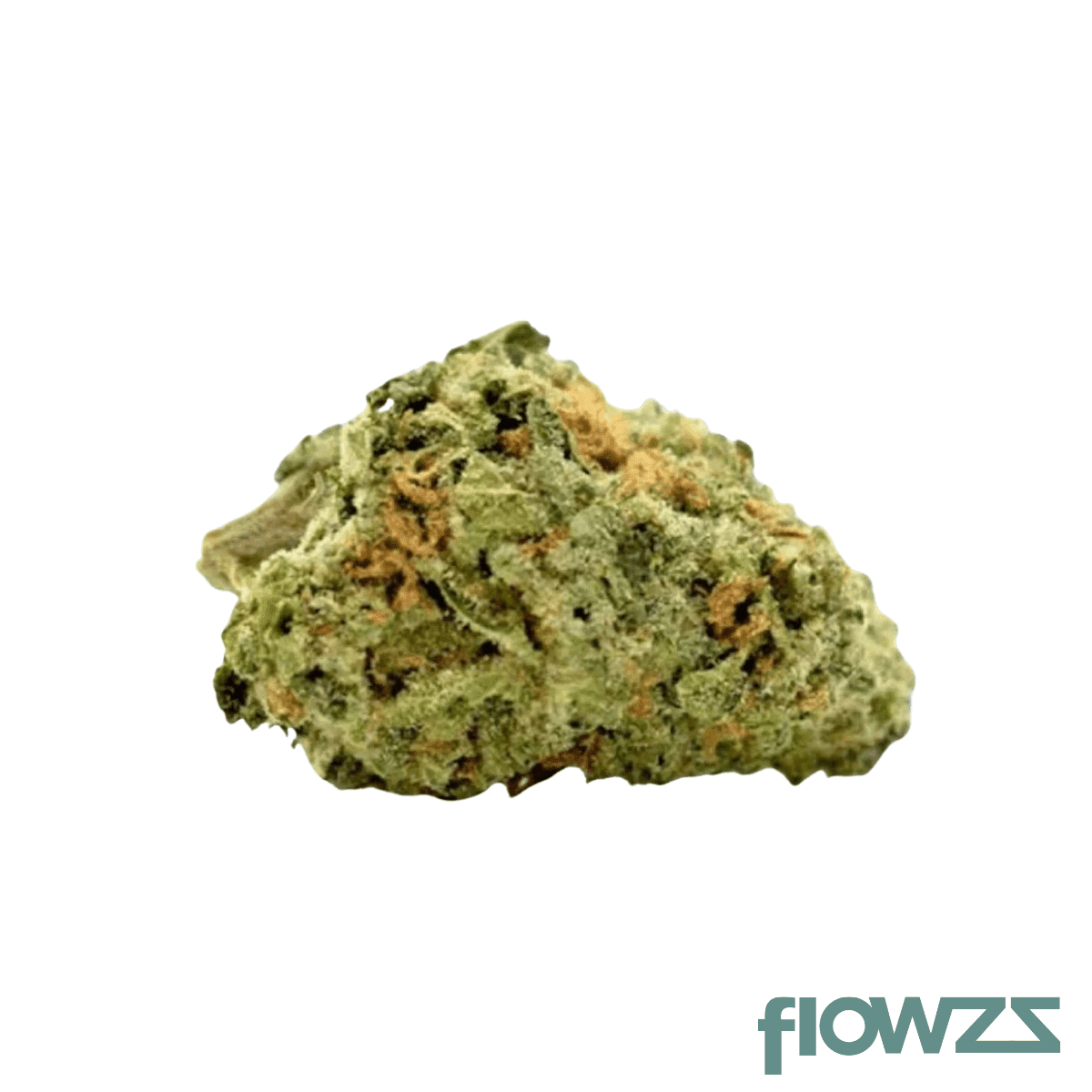 imc-chd-thc26-egoist