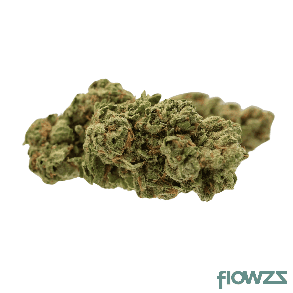 Nedcann SC 19/01 Green House Cheese #21