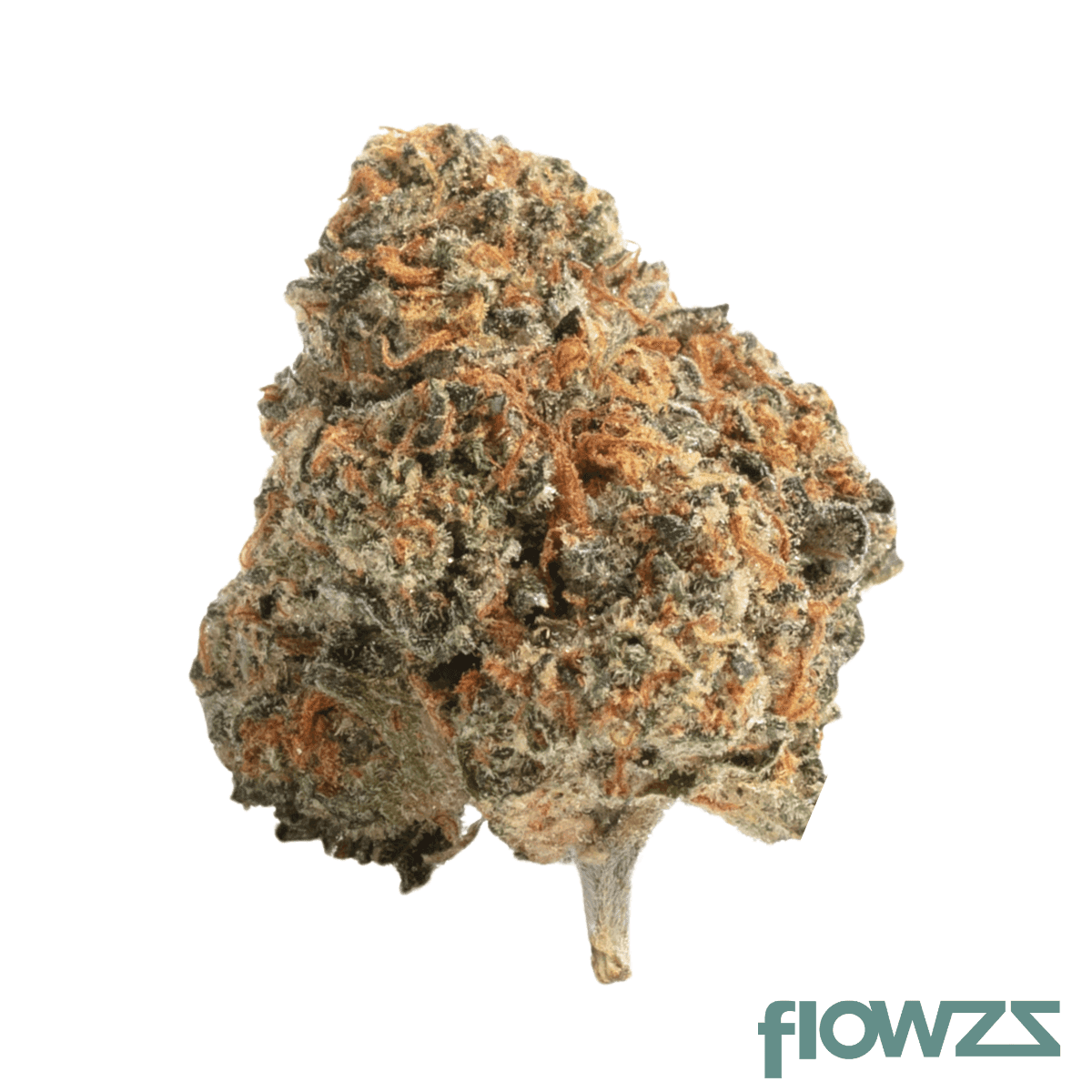 truu-gt-31-01-kush-cookies