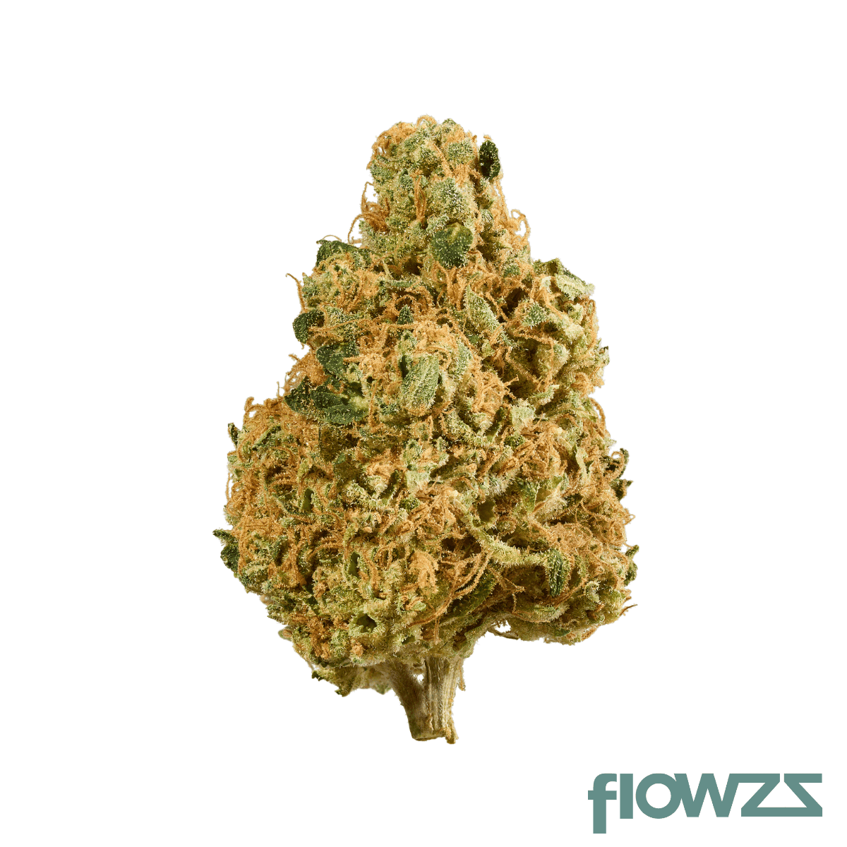 adrex-24-csc-can-chem-scout-cookies