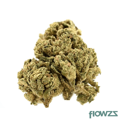 TRUU HS 26/01 Citron Cookies