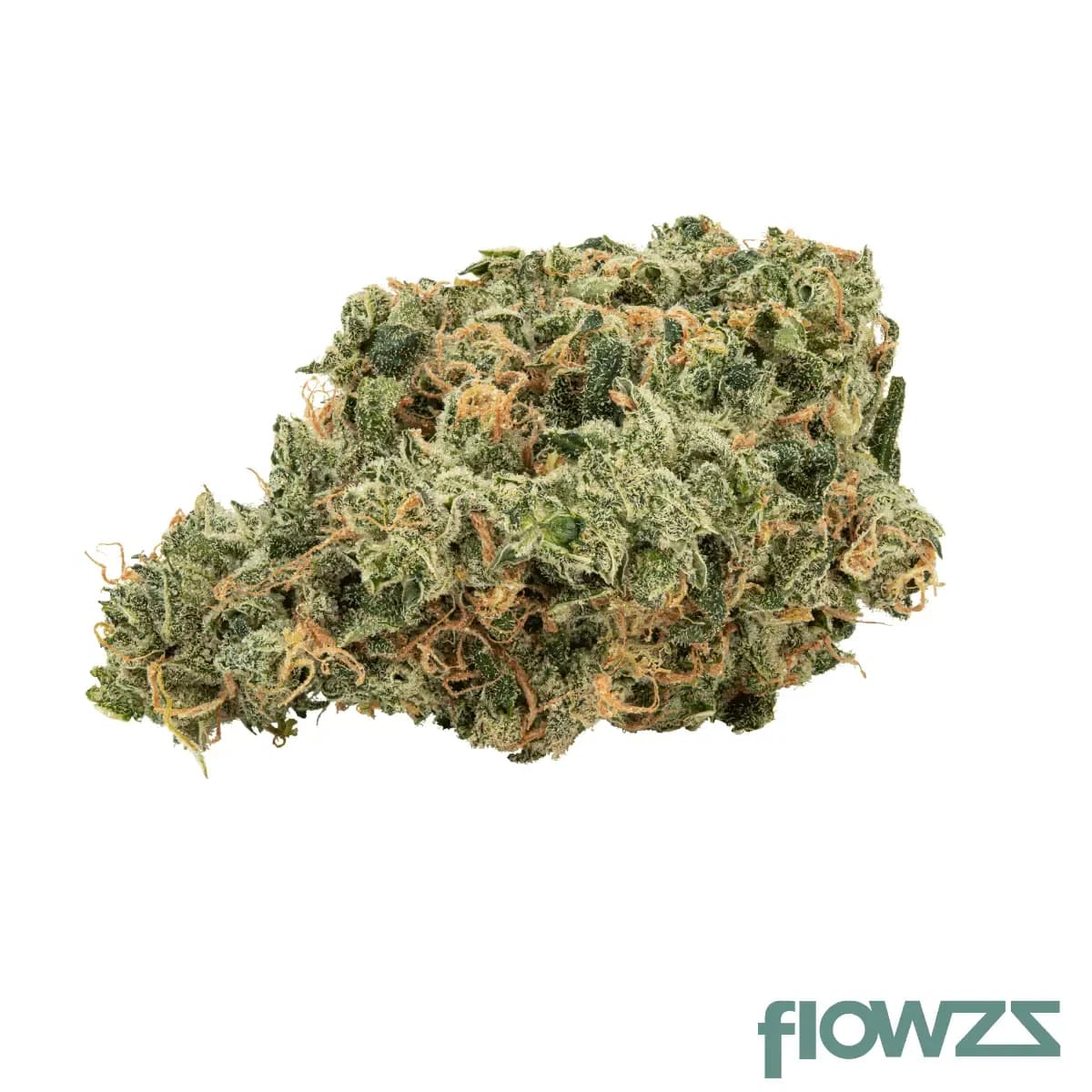 avaay-29-1-scg-super-citra-g