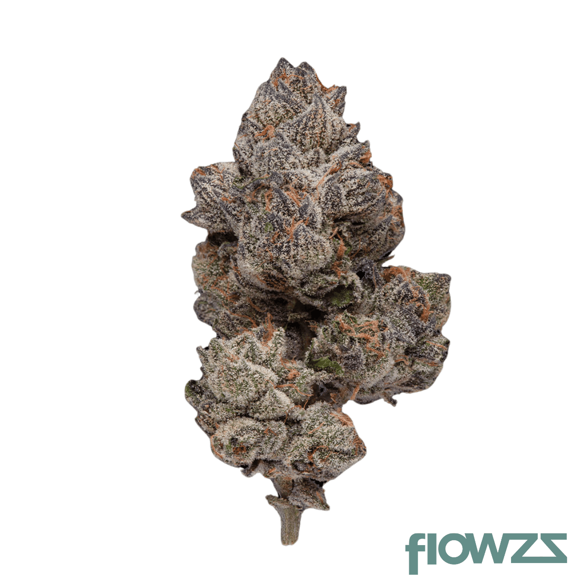 mgf-069er-22-1-apples-and-bananas