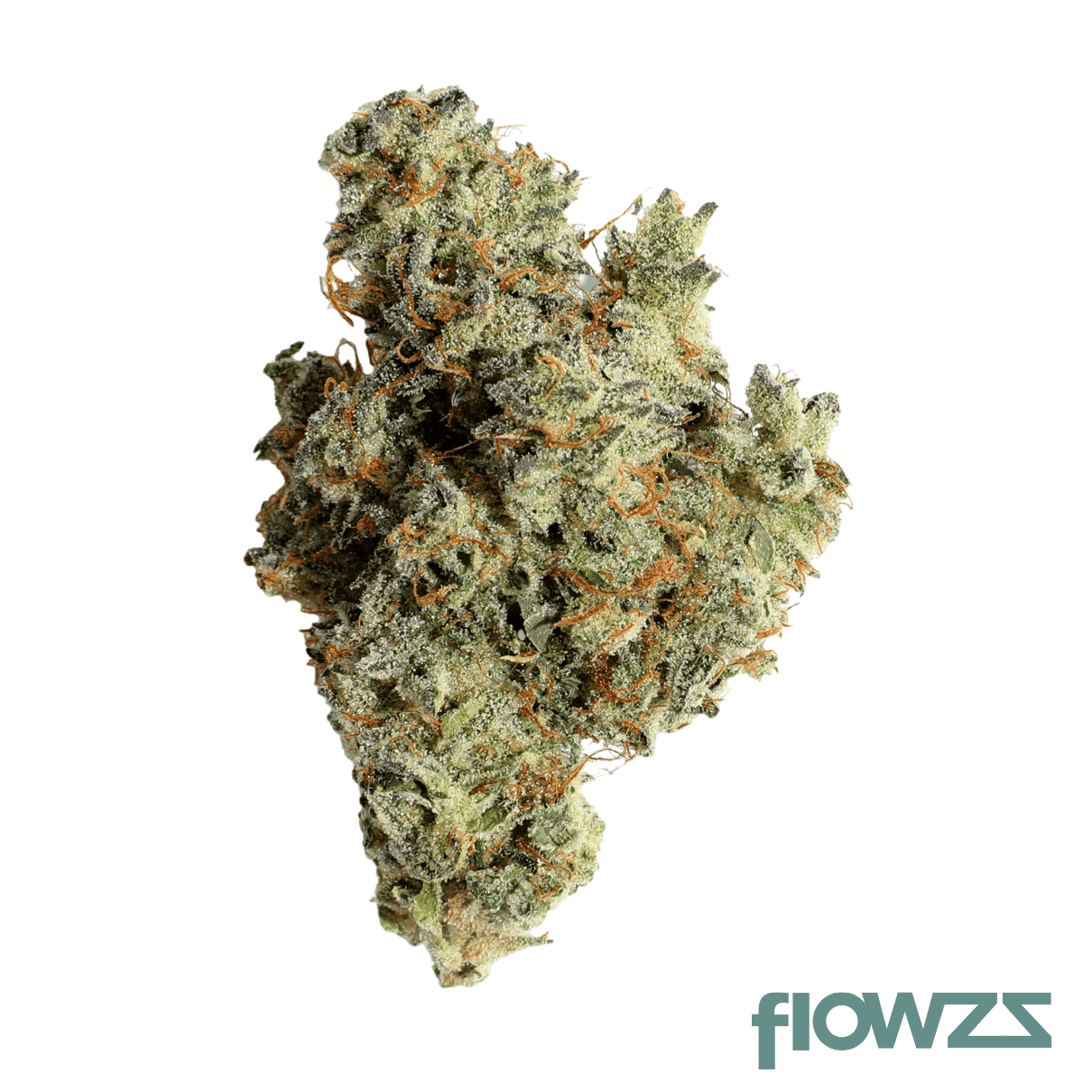 remexian-wtf-24-1-mic-sgc-sugar-cookies